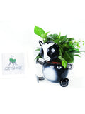 Success Horse Pot